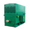 cage motor