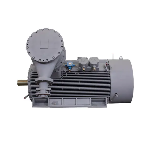 flame proof motor price