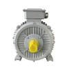 low voltage motor