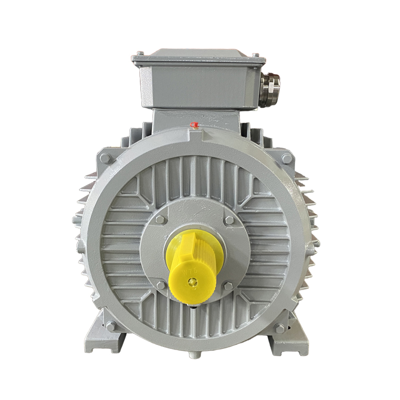 low voltage motor
