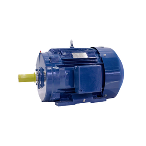 high efficiency induction motor