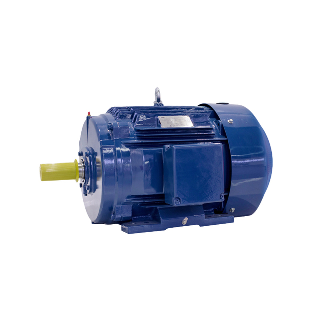 high efficiency induction motor