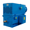 high voltage motor