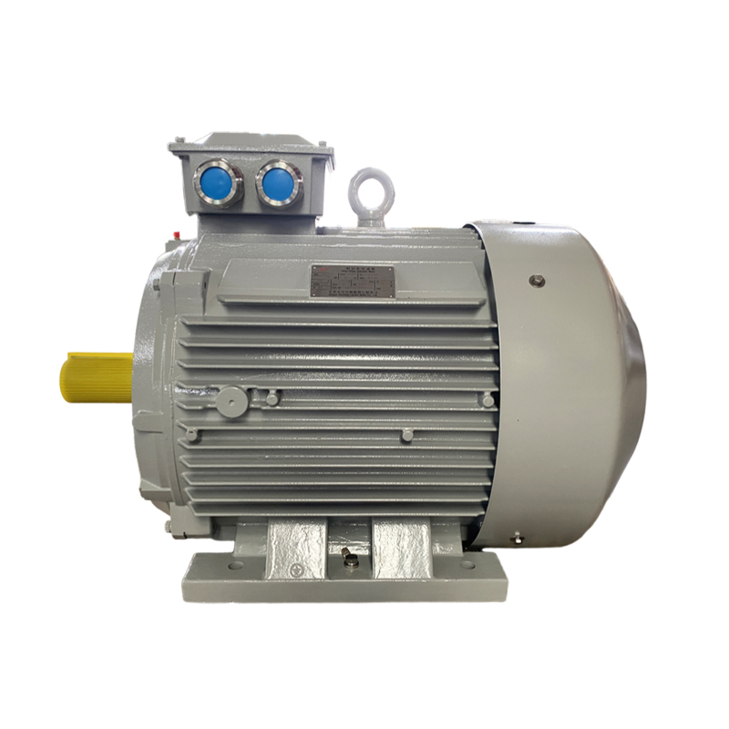 low voltage ac motor