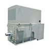 permanent magnet ac synchronous motor