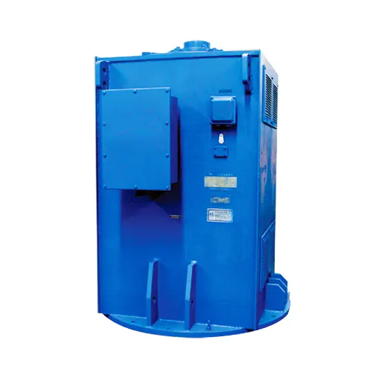Vertical Induction Electric Motor YL