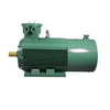 explosion proof electric motor