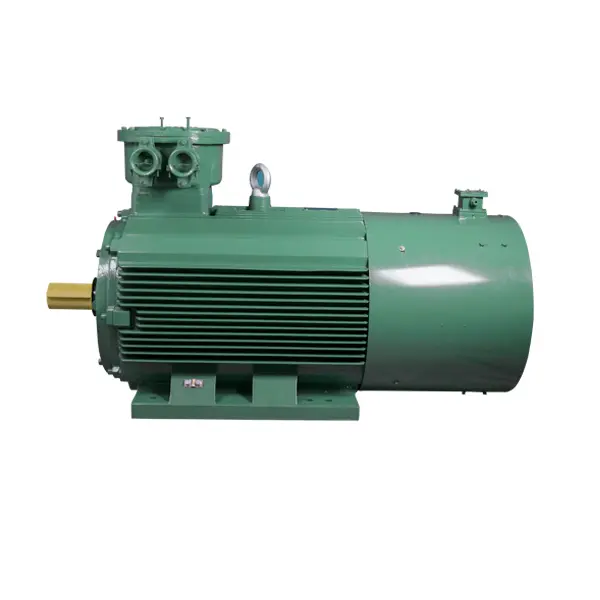explosion proof electric motor