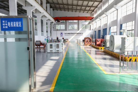 Permanent magnet motor detection