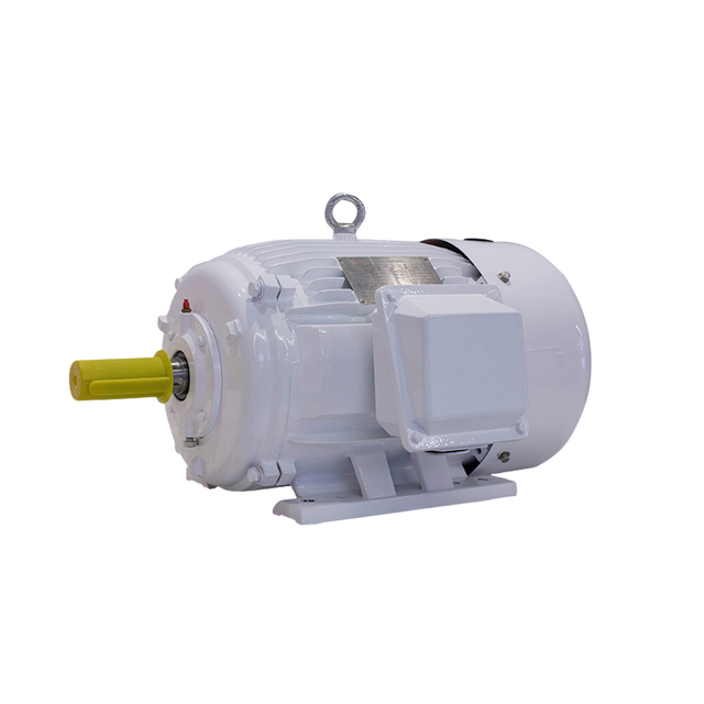 low voltage induction motor