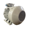 IE5 motor