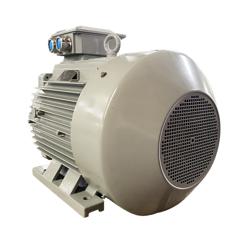 IE5 motor