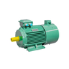 variable frequency induction motor