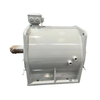 direct drive permanent magnet motor