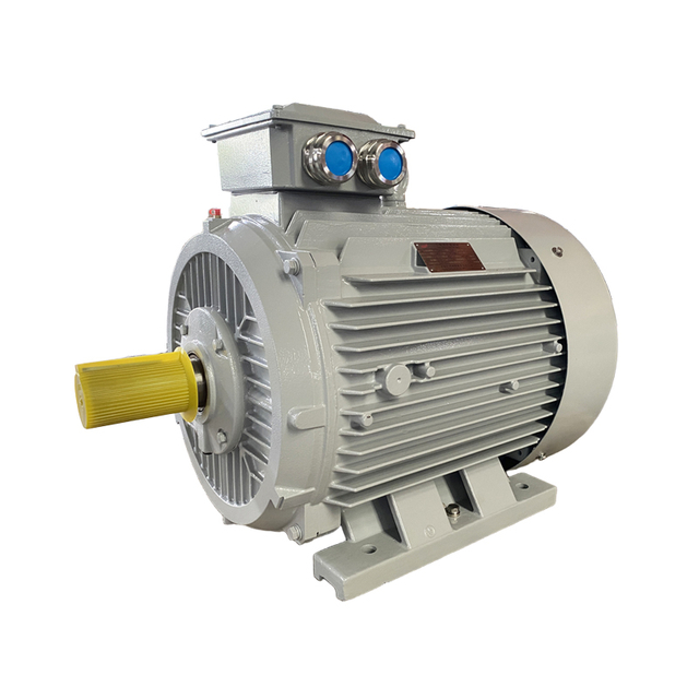 IE5 efficiency motor