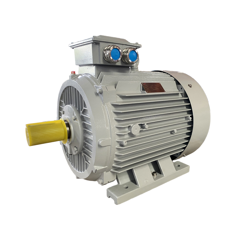IE5 Ultra Super Premiumstandard Efficiency Low Voltage 3 Phase Induction Motor YE5