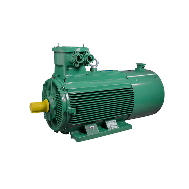 flameproof induction motor